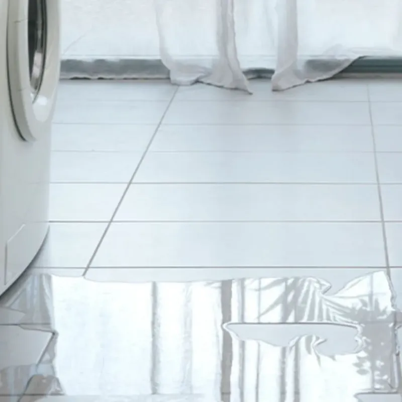 Appliance Leak Cleanup in Moorhead, MS