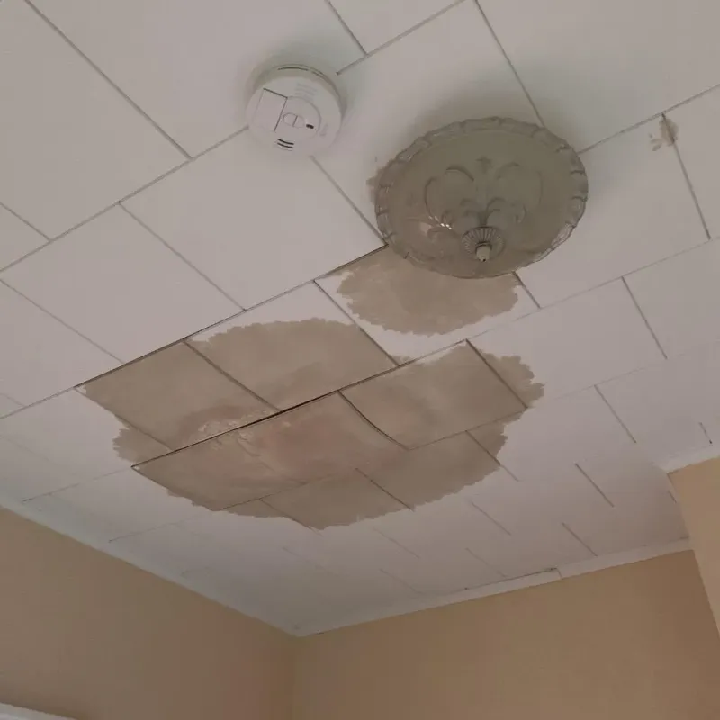 Ceiling Water Damage Repair in Moorhead, MS