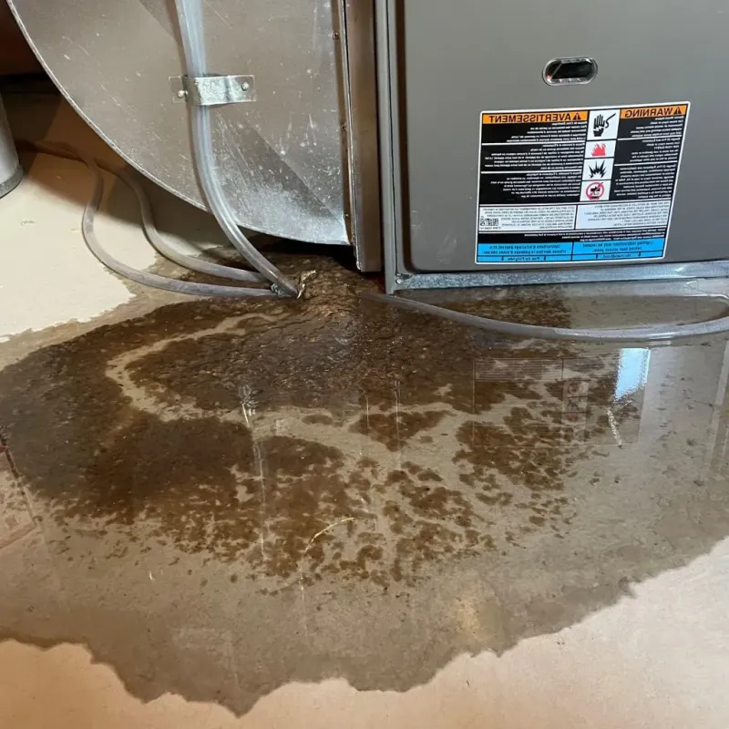 Pipe Burst and Leak Restoration in Moorhead, MS
