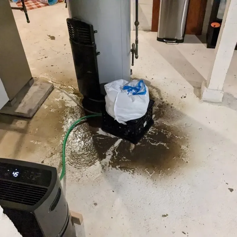 Sewage Backup Cleanup Service in Moorhead, MS